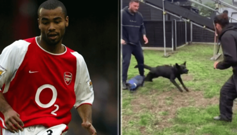 Exfutbolista de Arsenal compra perro de 25.